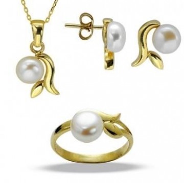 �nci Set Nancy